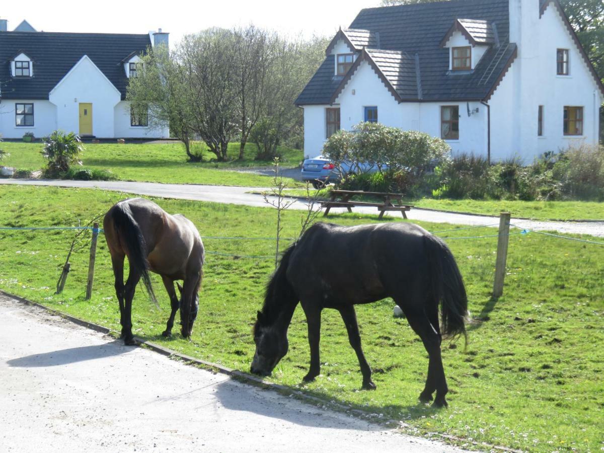 Letterfrack Farm Cottage In Village On A Farm Beside Connemara National Park Экстерьер фото